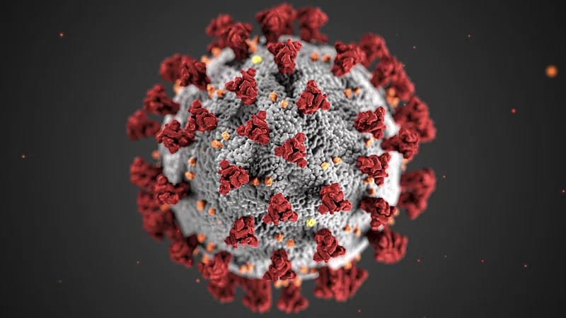 HMPV Virus